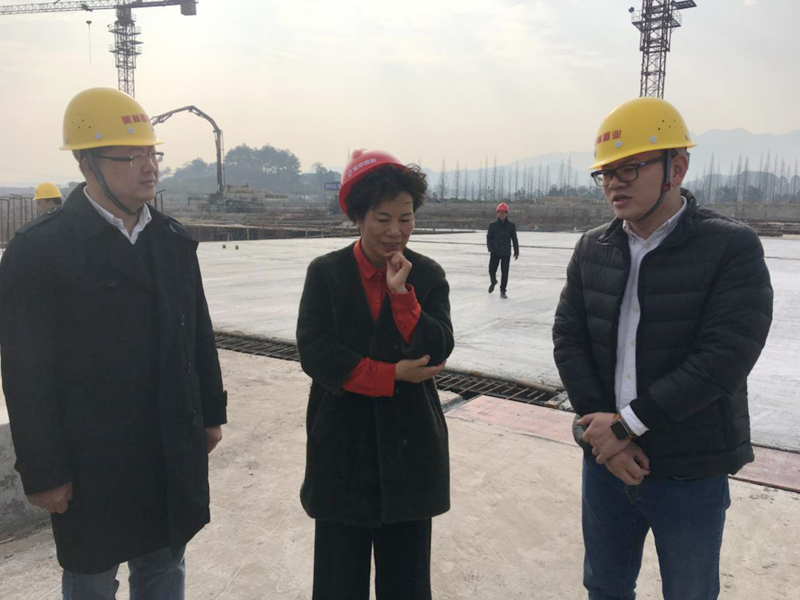 麗水市委常委、宣傳部長任淑女調(diào)研松陽美林·南城壹號項目