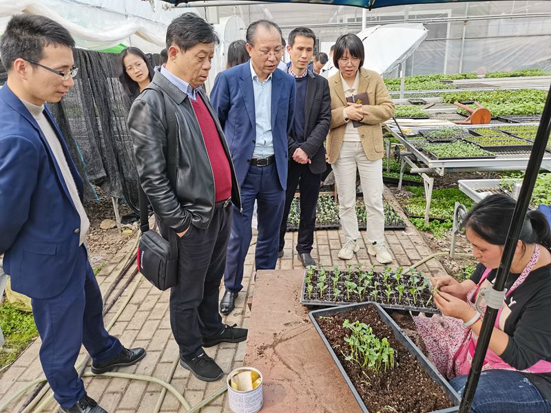 參觀瑞安市馬嶼為農(nóng)服務中心2_副本.jpg